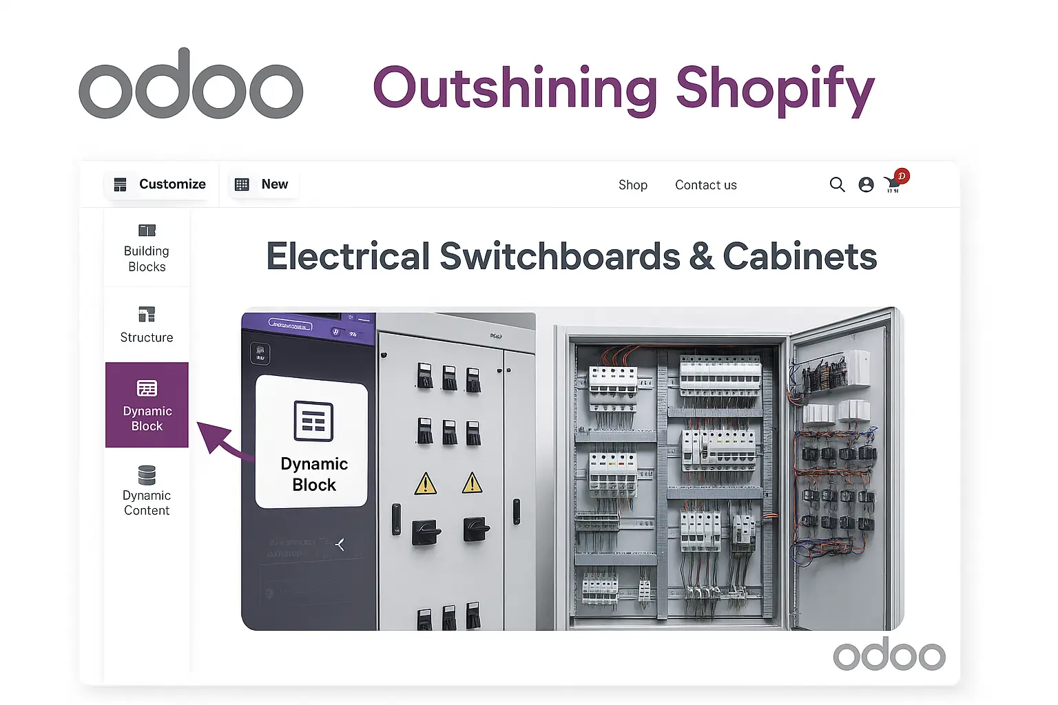 Odoo eCommerce and website real world applications