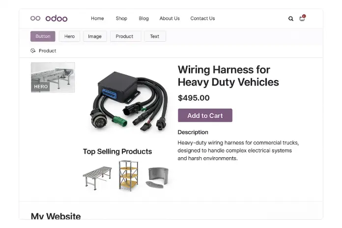 Odoo eCommerce and website real world applications